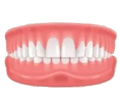 Deep Bite dental illustration